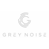 Blue Bastion Partner Gray Noise